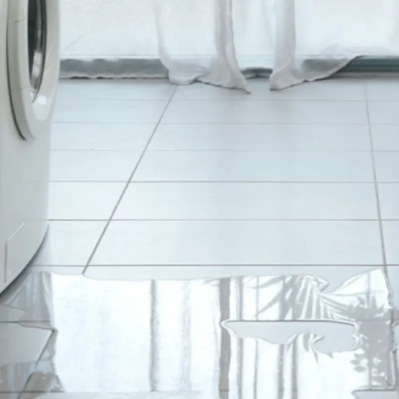 Appliance Leak Cleanup in Lamesa, TX