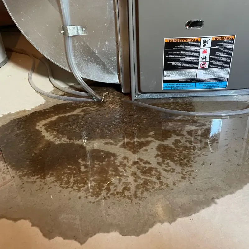 Pipe Burst and Leak Restoration in Lamesa, TX